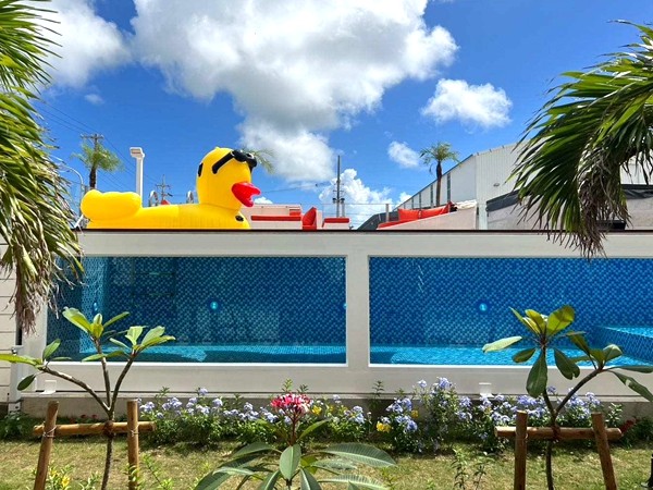 Container Swimming Pool in US