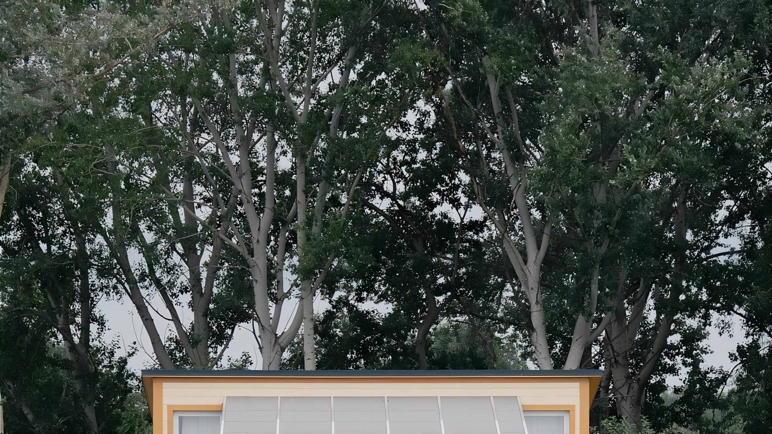 Container houses China: Modern Living Meets Nature